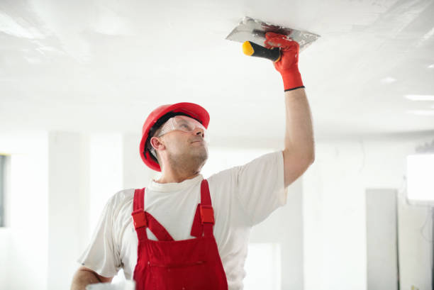 Best Mold Removal for HVAC Installations  in Festus, MO